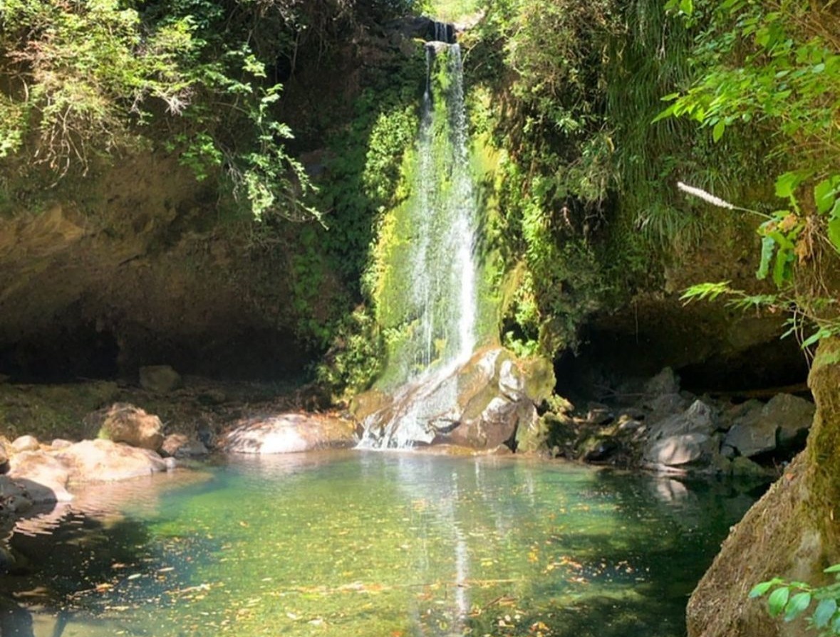 Cabañas Rancho El Sifón